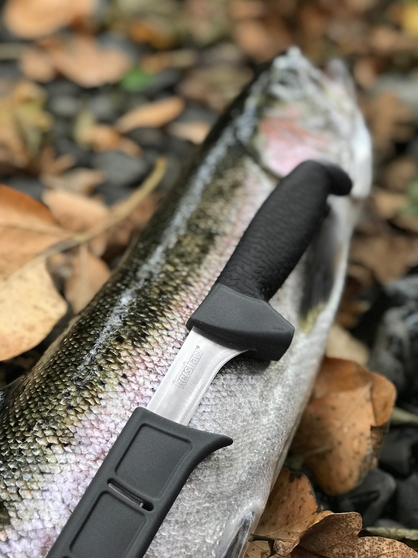 7.5" NARROW FILLET